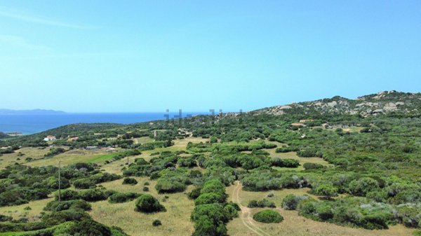 terreno agricolo in vendita a Santa Teresa Gallura