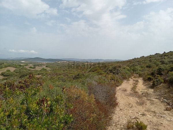 azienda agricola in vendita a Santa Teresa Gallura