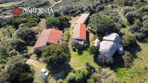 quadrivano in vendita a Santa Teresa Gallura