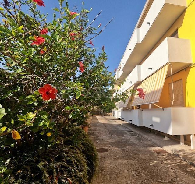 appartamento in vendita a Santa Teresa Gallura