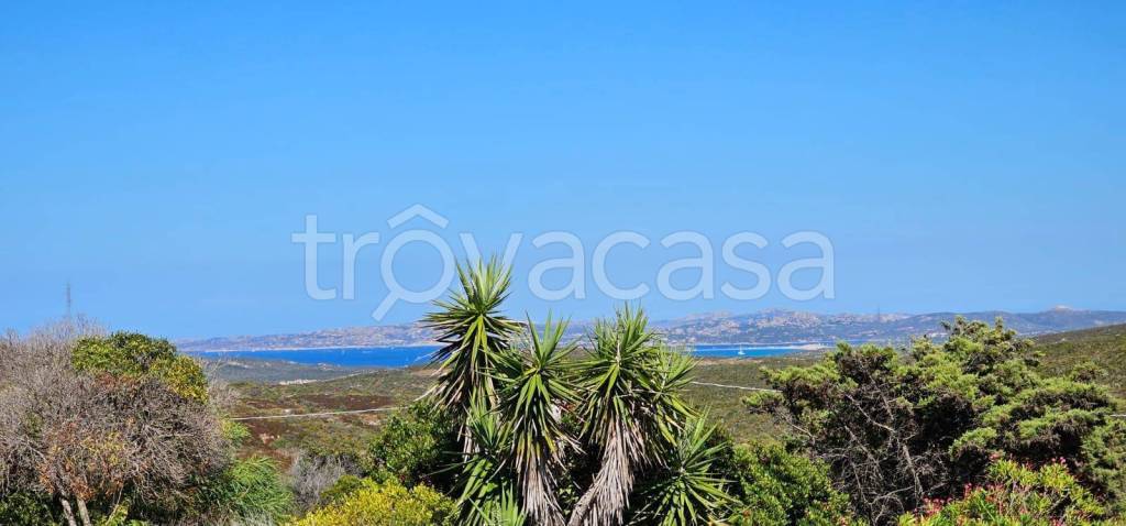 casa indipendente in vendita a Santa Teresa Gallura