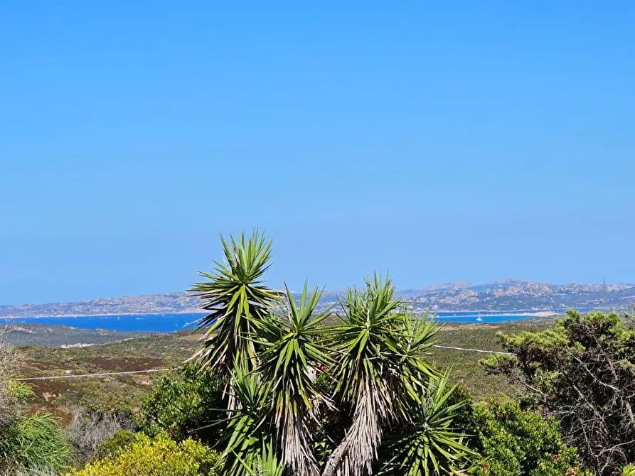 casa indipendente in vendita a Santa Teresa Gallura