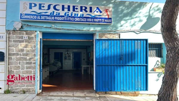 negozio in vendita a Santa Teresa Gallura