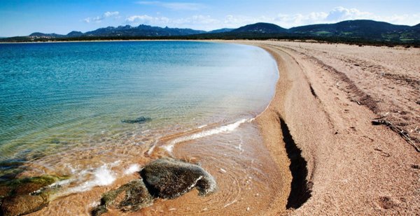 negozio in vendita a Santa Teresa Gallura