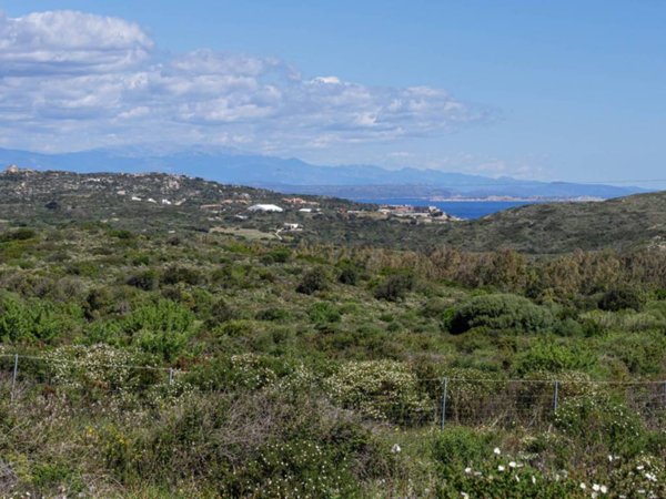 terreno in vendita a Santa Teresa Gallura