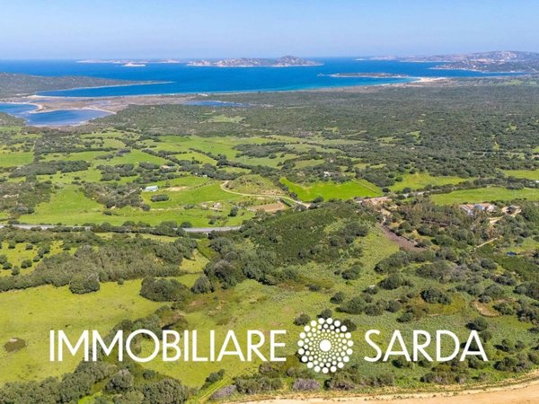 terreno agricolo in vendita a Santa Teresa Gallura