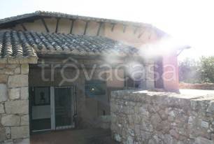 casa indipendente in vendita a Santa Teresa Gallura