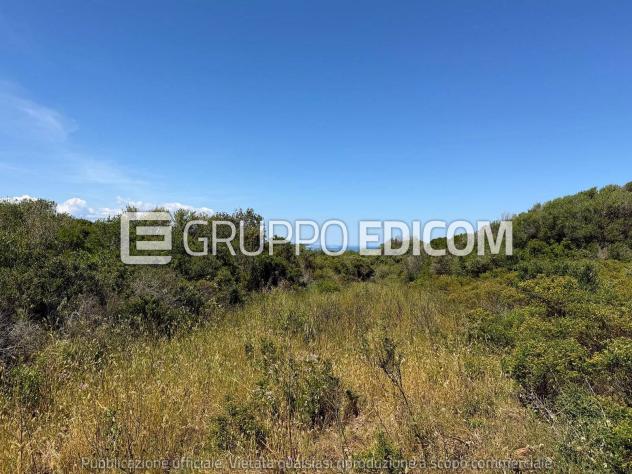 terreno agricolo in vendita a Santa Teresa Gallura