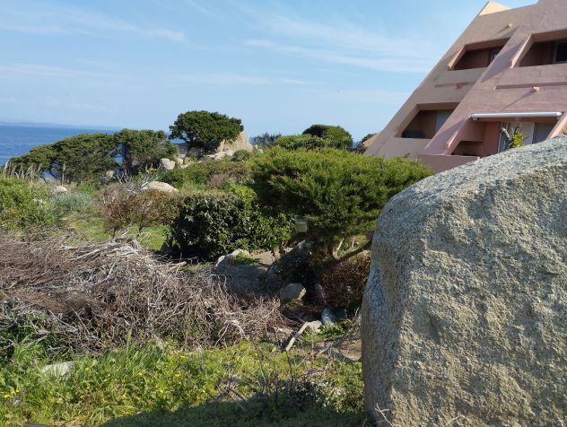 appartamento in vendita a Santa Teresa Gallura