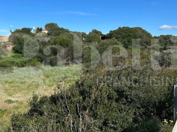 terreno agricolo in vendita a Santa Teresa Gallura