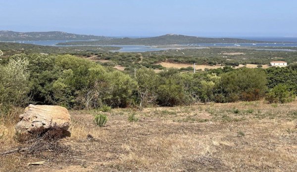terreno in vendita a Santa Teresa Gallura