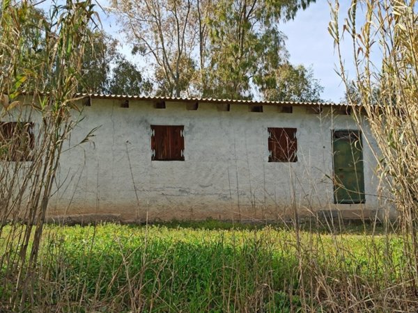 terreno agricolo in vendita a Sassari in zona Tottubella/Rumanedda