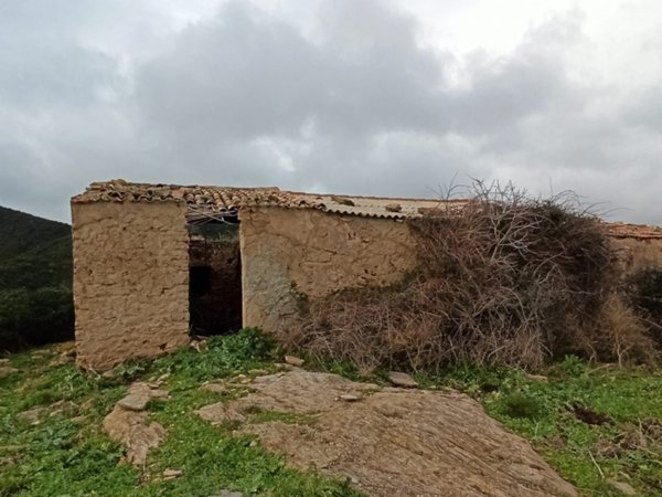 terreno agricolo in vendita a Sassari