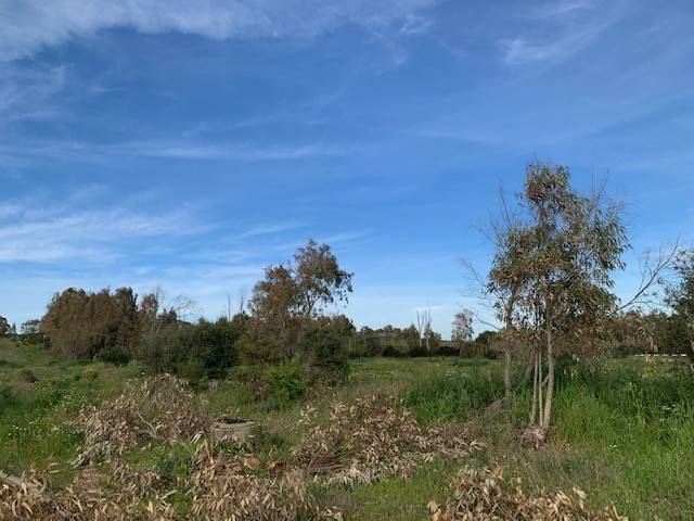 terreno agricolo in vendita a Sassari in zona La Corte