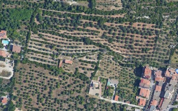 terreno agricolo in vendita a Sassari