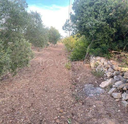 terreno agricolo in vendita a Sassari in zona Argentiera