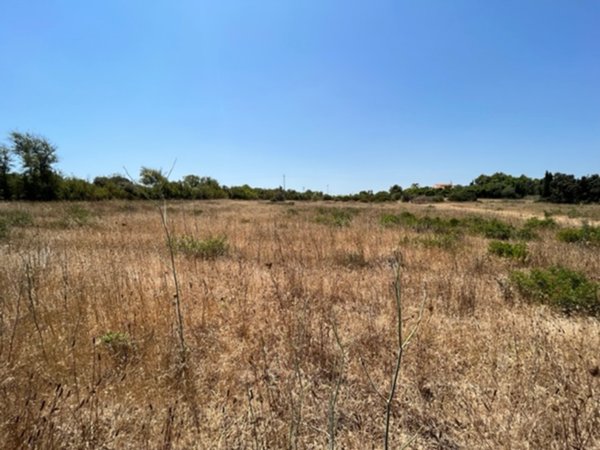 terreno edificabile in vendita a Sassari