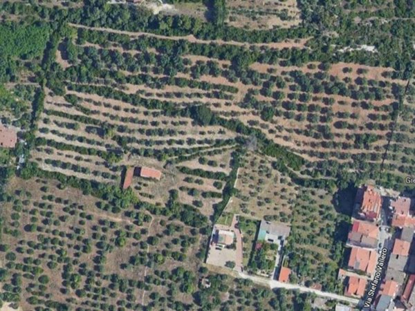 terreno agricolo in vendita a Sassari in zona Monte Rosello