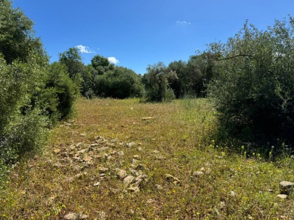 rudere in vendita a Sassari in zona Bancali