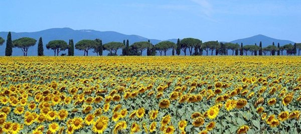 appartamento in vendita a Sassari