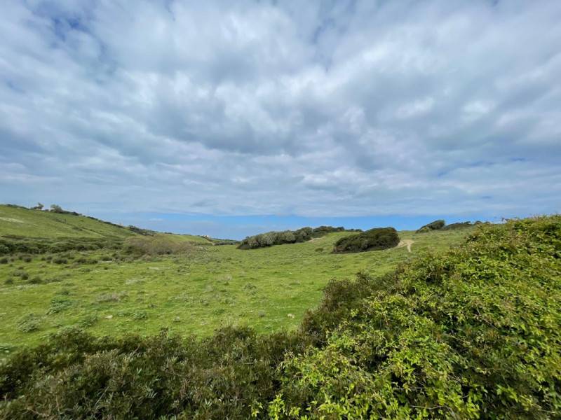 terreno agricolo in vendita a Sassari in zona Biancareddu