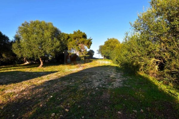 terreno agricolo in vendita a Sassari in zona Ottava