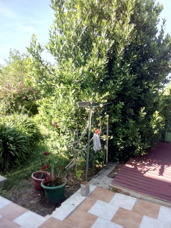 casa indipendente in vendita a Sassari in zona Ottava