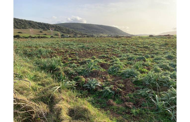 terreno agricolo in vendita a Sassari in zona Baratz