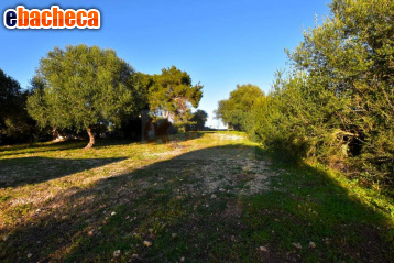 terreno agricolo in vendita a Sassari in zona Ottava
