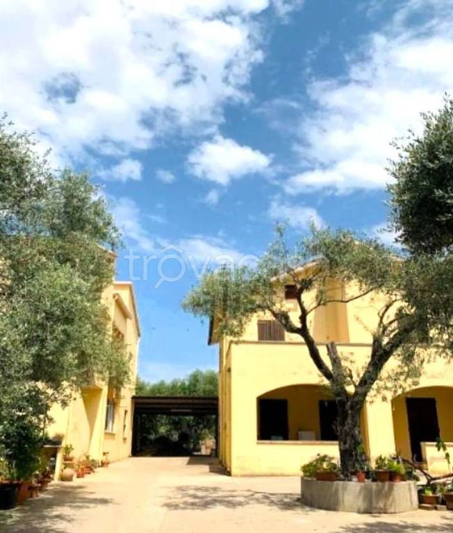 esavano in vendita a Sassari in zona Bancali