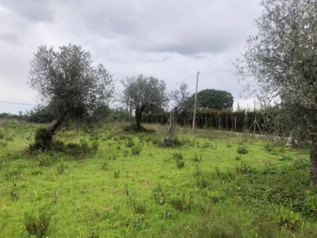 terreno agricolo in vendita a Sassari in zona Latte Dolce