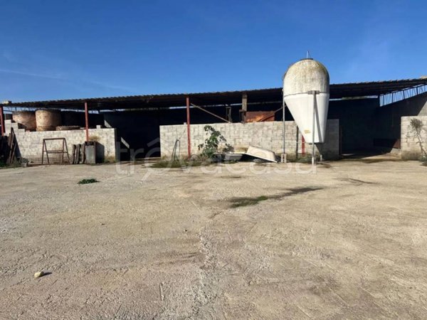azienda agricola in vendita a Sassari in zona Campanedda