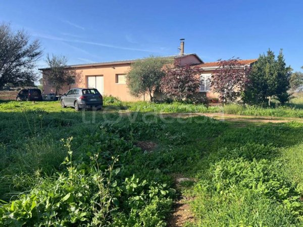 azienda agricola in vendita a Sassari in zona Bancali