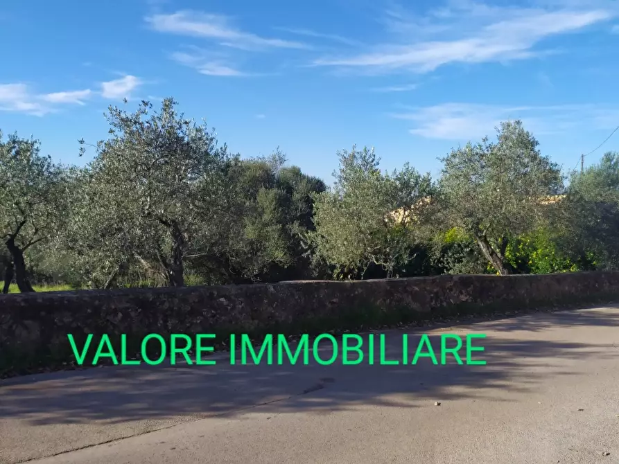 terreno edificabile in vendita a Sassari in zona La Landrigga