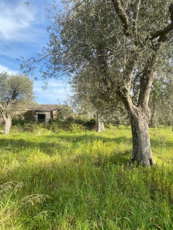 casa indipendente in vendita a Sassari in zona Li Punti