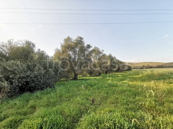 terreno agricolo in vendita a Sassari in zona Campanedda