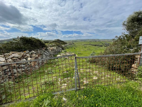terreno agricolo in vendita a Sassari in zona Biancareddu
