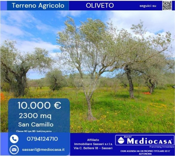 terreno agricolo in vendita a Sassari in zona San Giovanni