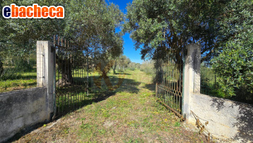 casa indipendente in vendita a Sassari