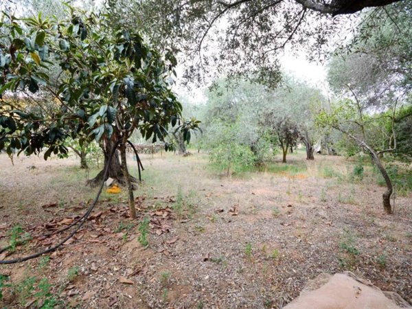 terreno agricolo in vendita a Sassari in zona Li Punti