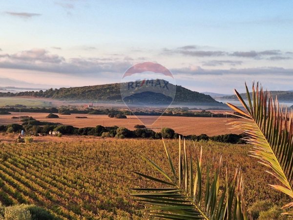 terreno agricolo in vendita a Sassari