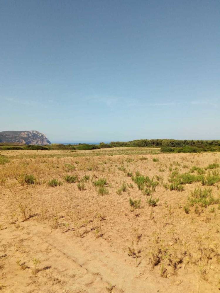 terreno agricolo in vendita a Sassari