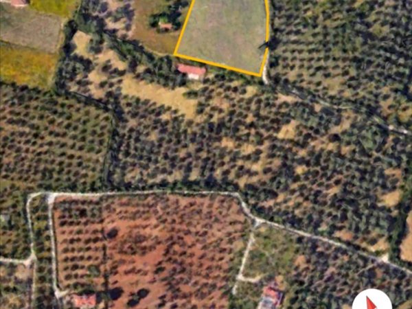 terreno agricolo in vendita a Sassari in zona Sant'Orsola / Zuari