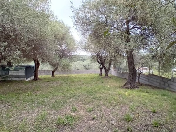 negozio in vendita a Sassari in zona Latte Dolce