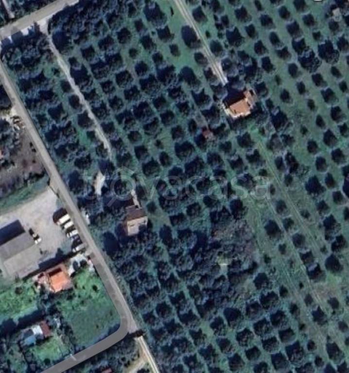 terreno agricolo in vendita a Sassari in zona Caniga