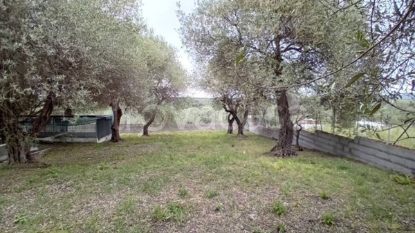 casa indipendente in vendita a Sassari in zona Latte Dolce