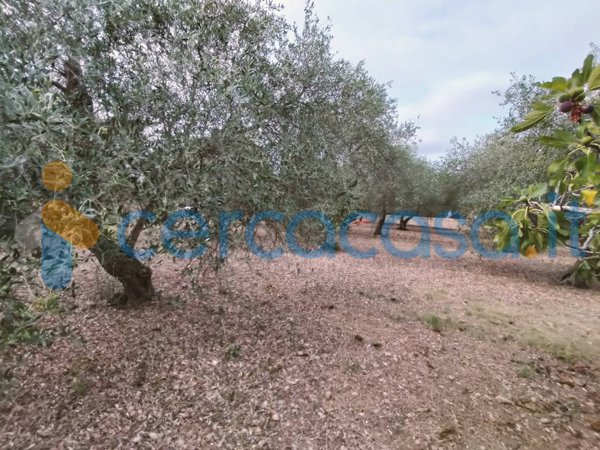 casa indipendente in vendita a Sassari in zona Caniga