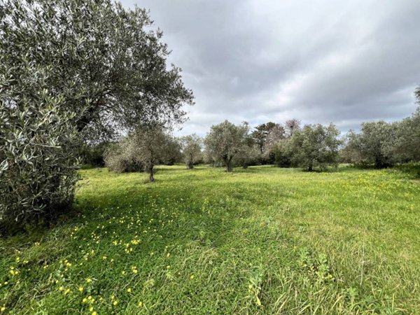 negozio in vendita a Sassari in zona La Landrigga