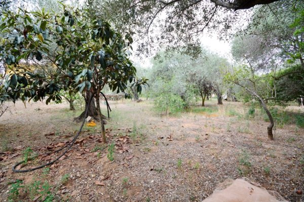 terreno agricolo in vendita a Sassari in zona Li Punti
