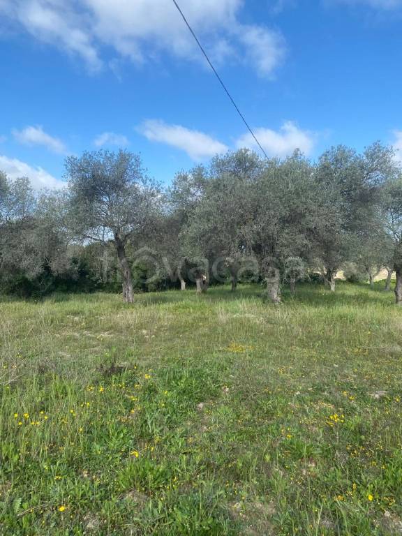 casa indipendente in vendita a Sassari in zona Sant'Orsola / Zuari